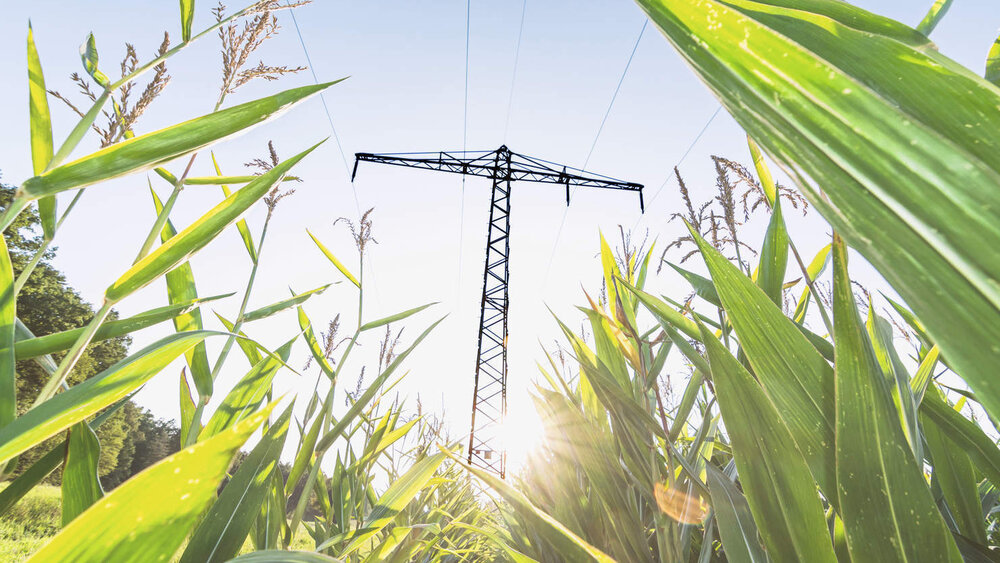 Bild: Calado/fotolia.de 