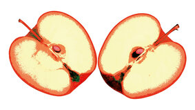 Wie Zwei Seiten einer Medaille