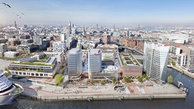 Arealnetz für die Hafencity