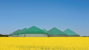 Biologisch und flexibel