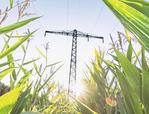 Bild: Calado/fotolia.de 