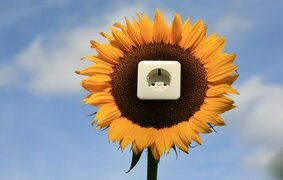 RainerSturm/pixelio.de